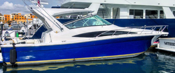 37' Bertram fishing boat Yacht Charters, Boat Rentals, 