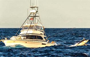 Seattle fishing charters